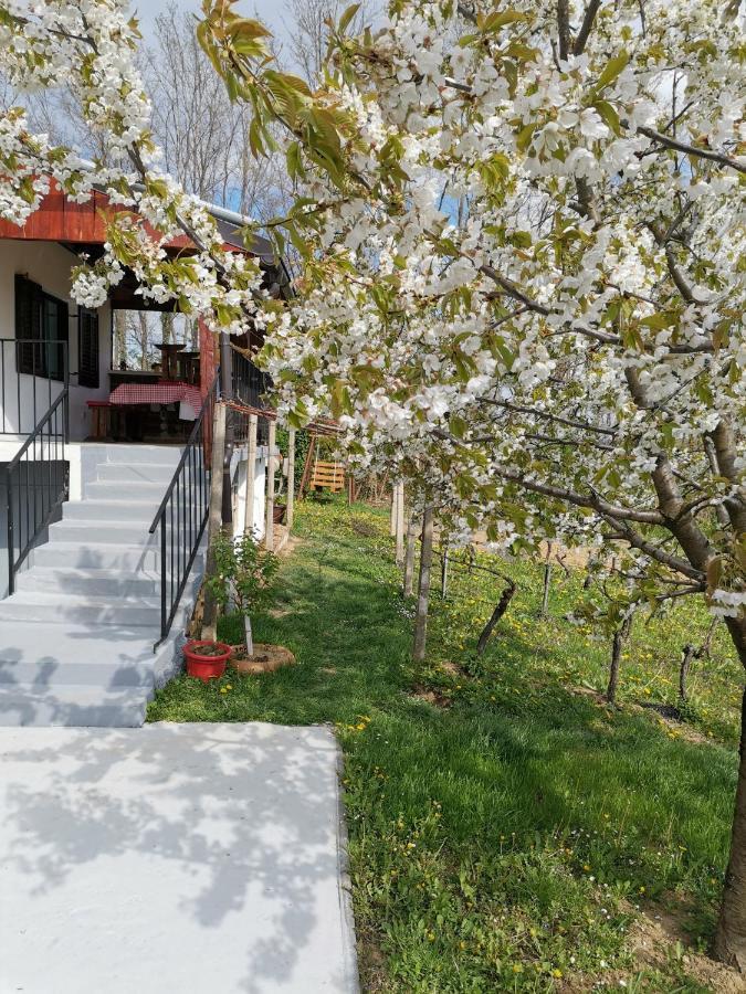 Villa Marijana Varazdinske Toplice Zewnętrze zdjęcie