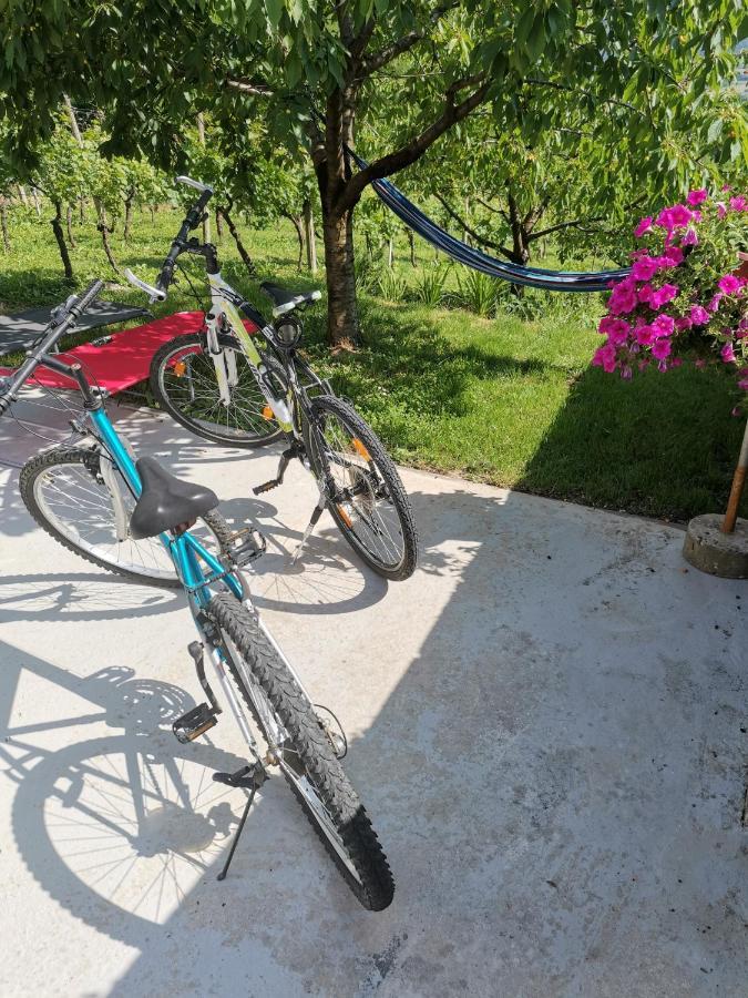 Villa Marijana Varazdinske Toplice Zewnętrze zdjęcie