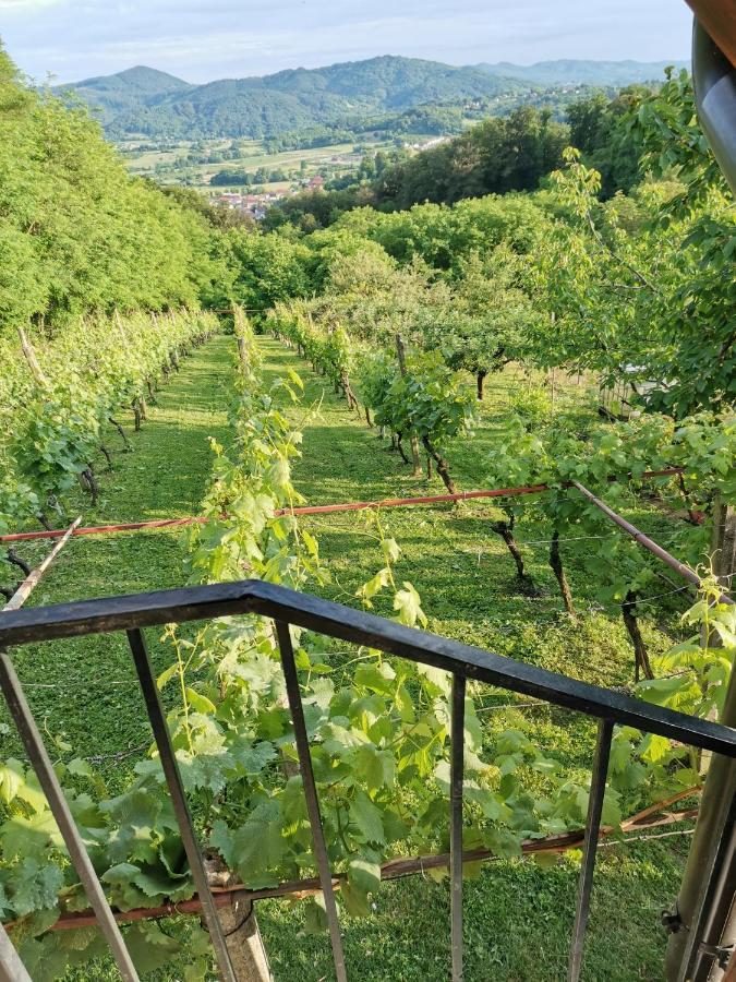 Villa Marijana Varazdinske Toplice Zewnętrze zdjęcie