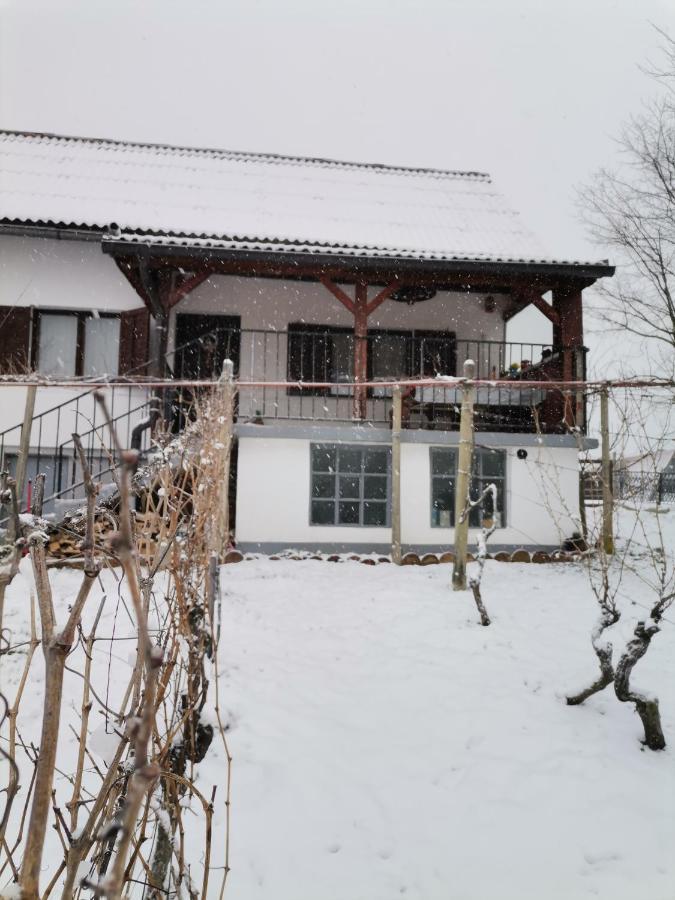 Villa Marijana Varazdinske Toplice Zewnętrze zdjęcie