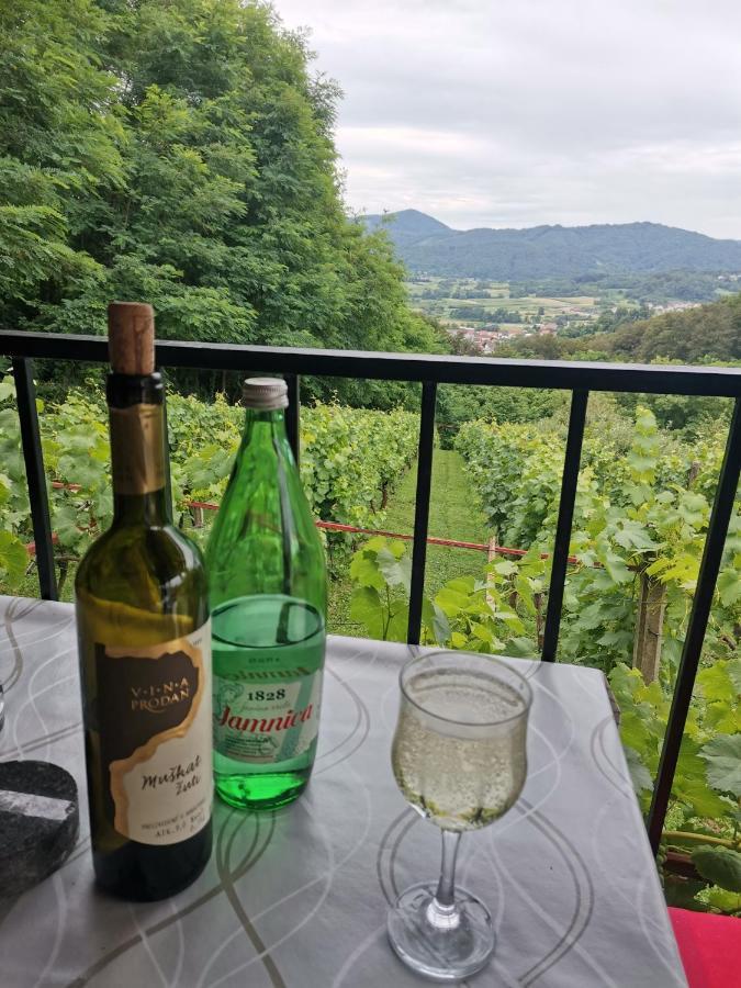 Villa Marijana Varazdinske Toplice Zewnętrze zdjęcie
